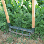 Entretien du jardin