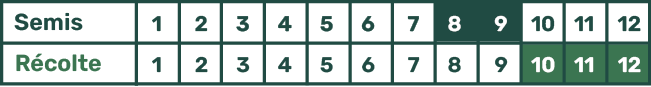 Picto Calendrier Merveille Hiver