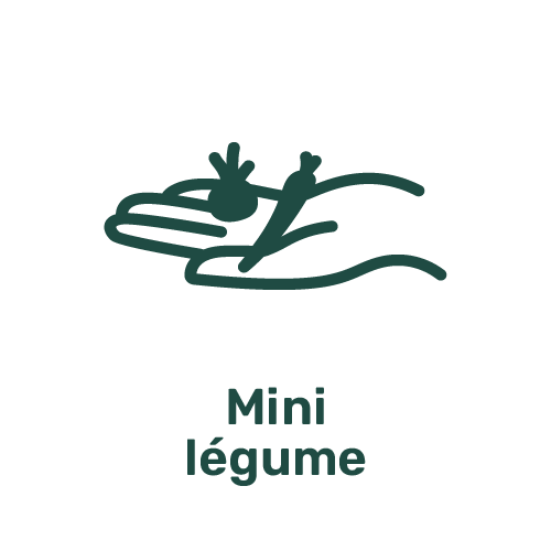 Picto mini légumes