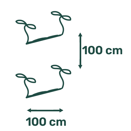 Picto Distance 100x100
