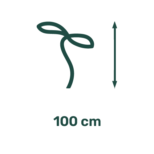 Picto Hauteur 100cm