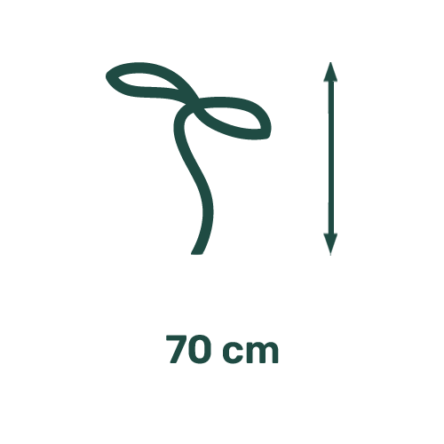 Picto Hauteur 70 cm